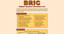 Desktop Screenshot of bricweb.partners.org