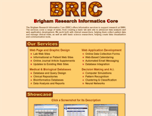 Tablet Screenshot of bricweb.partners.org